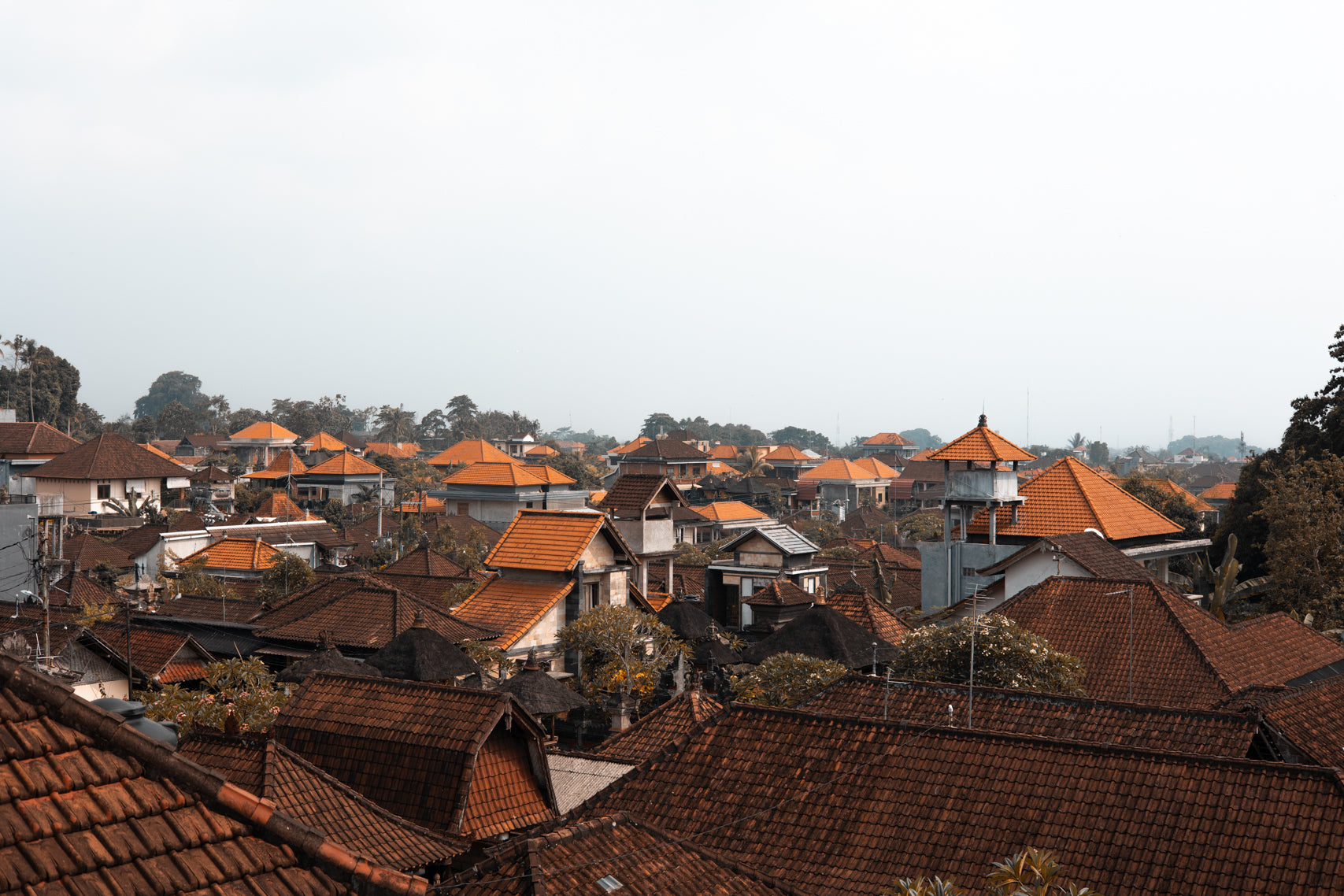Terracotta Horizons