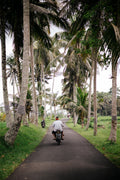 Tropical Commute