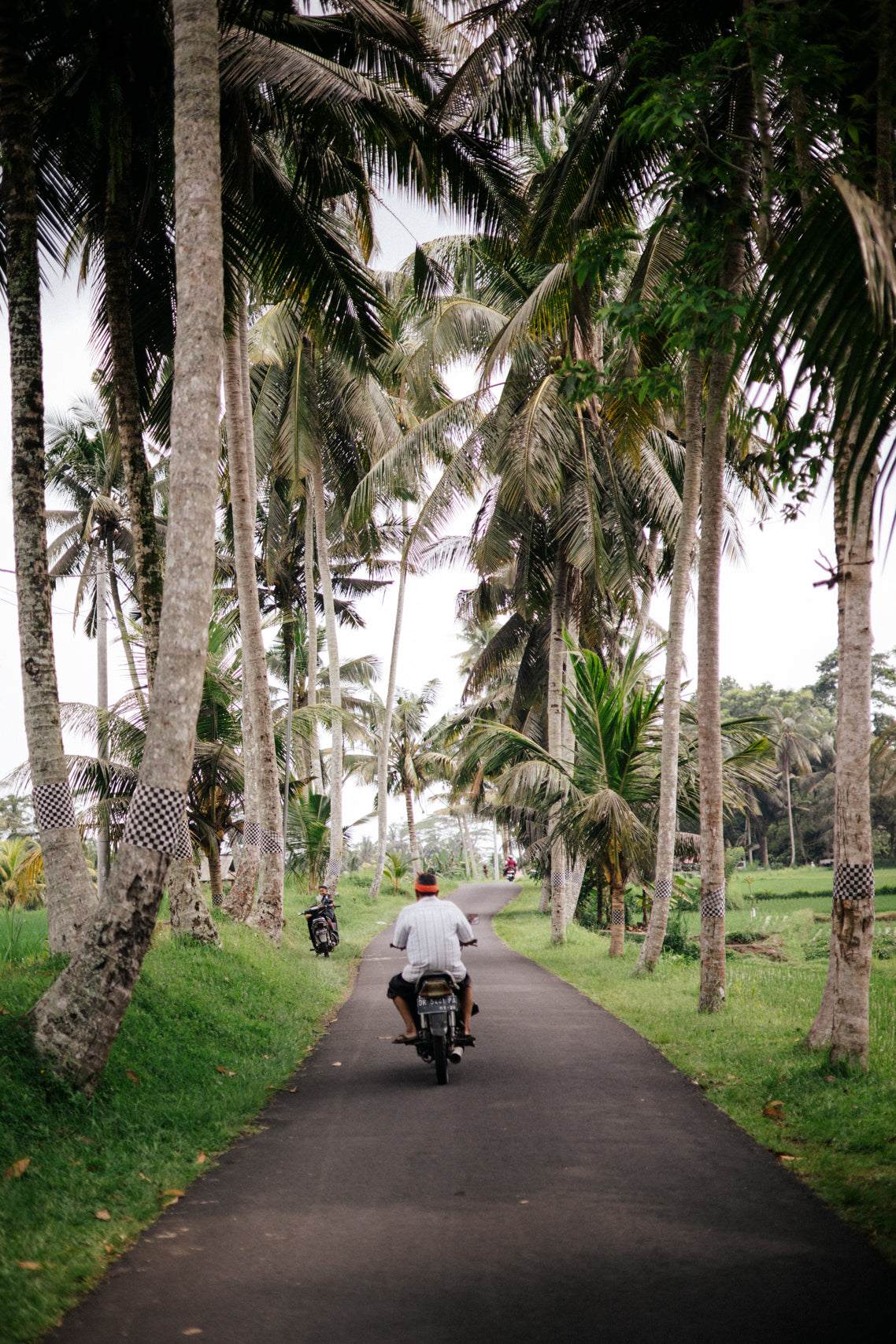 Tropical Commute