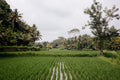 Fields of Serenity
