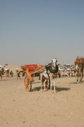 Carriage Across Time