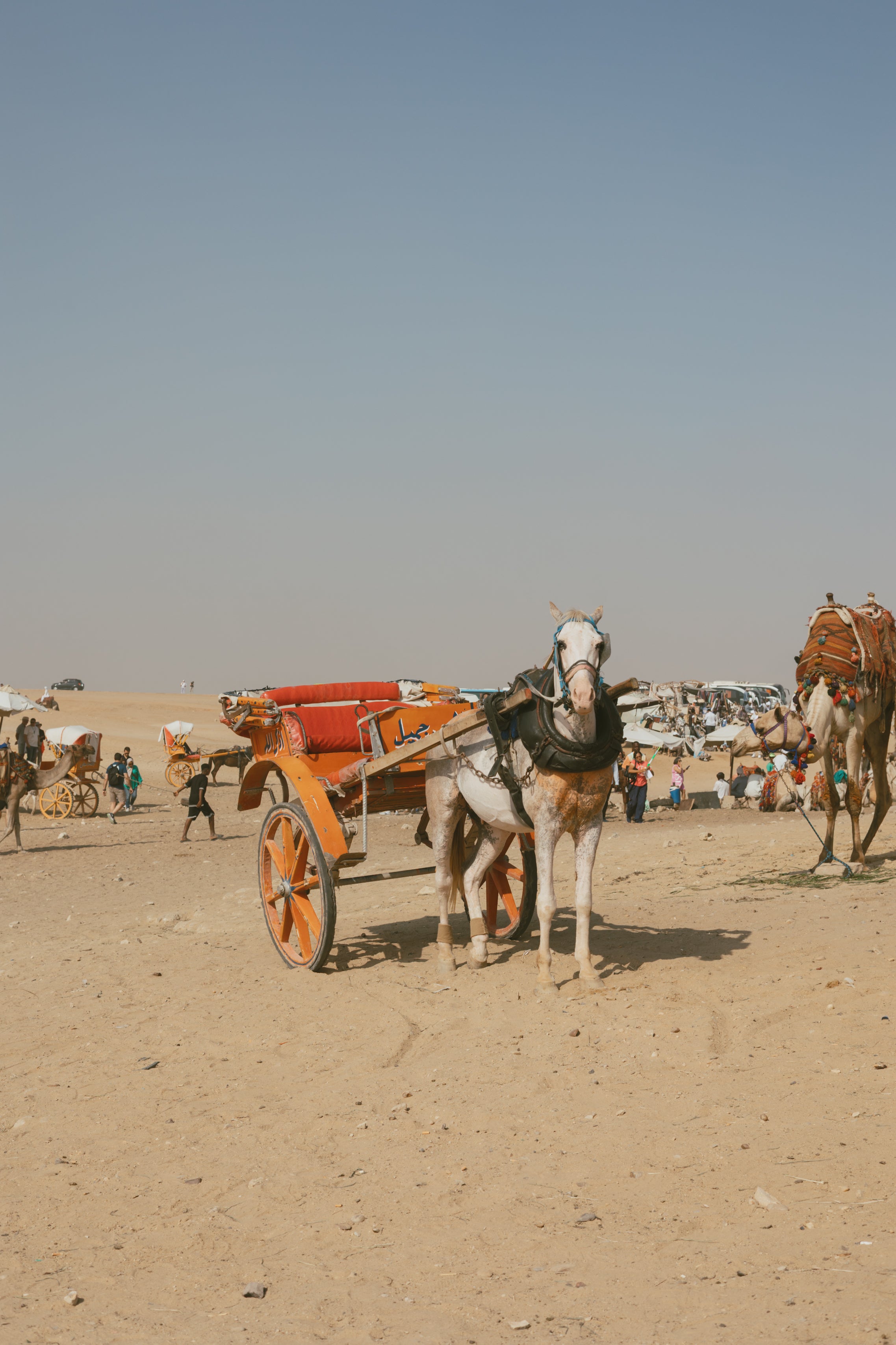 Carriage Across Time
