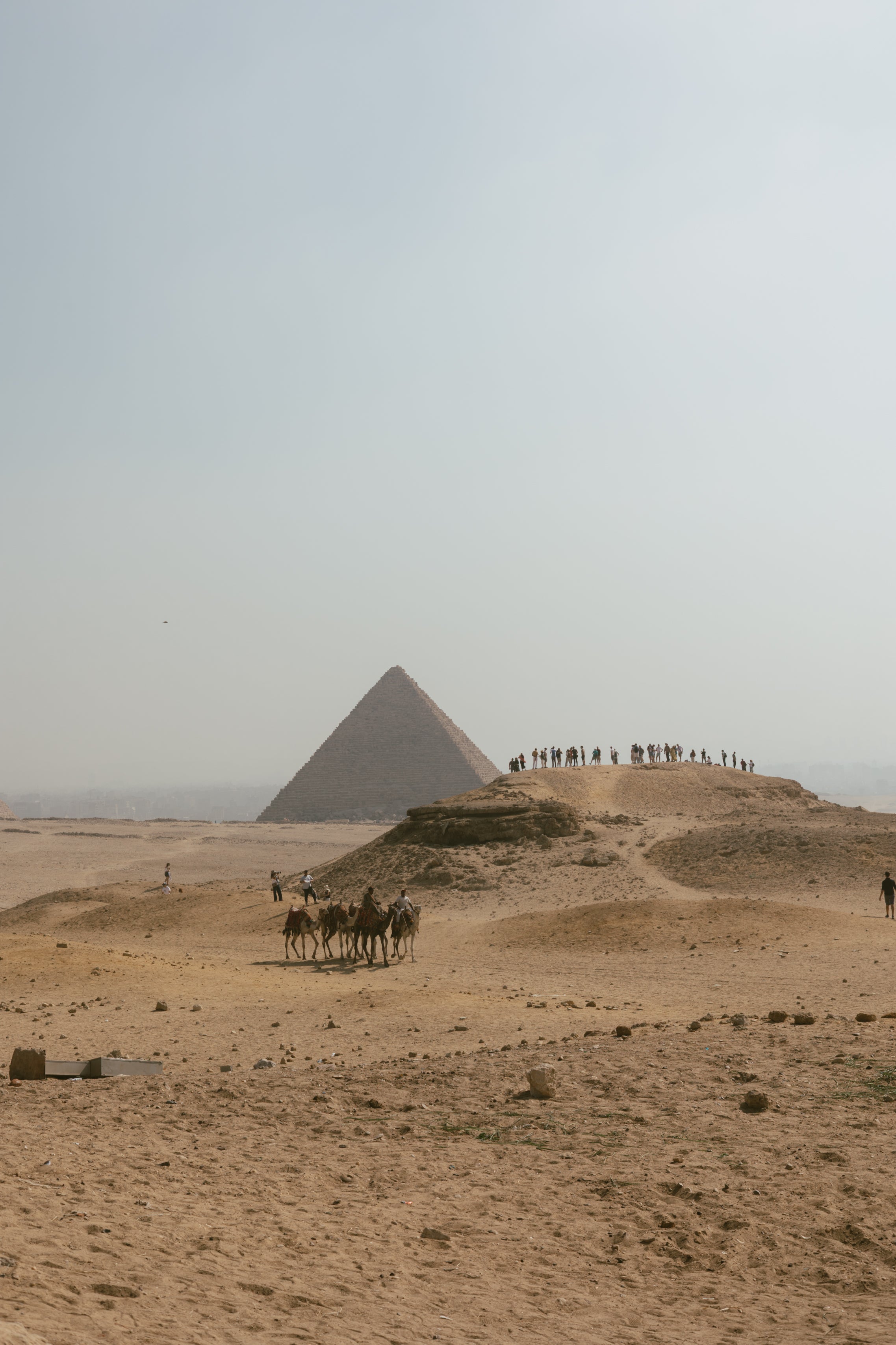 Echoes of the Pharaohs