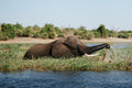 Water and Ivory