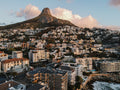 The Lion’s View