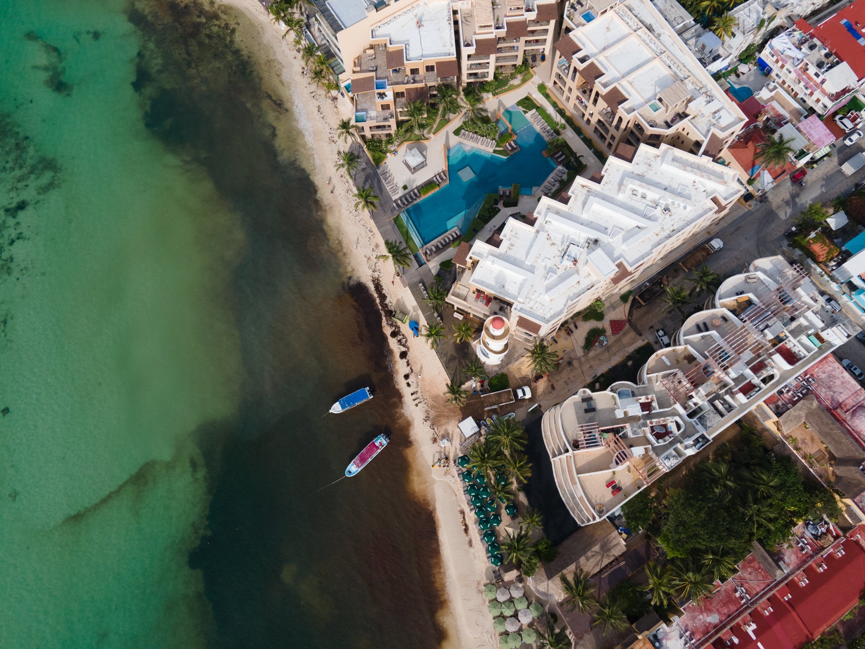 Caribbean Contrast
