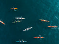 Ocean Explorers