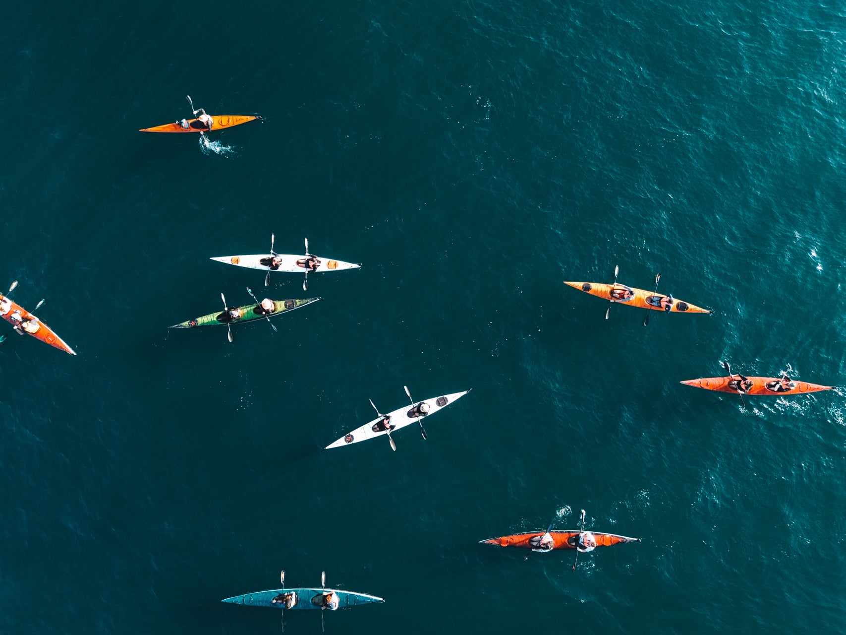 Ocean Explorers