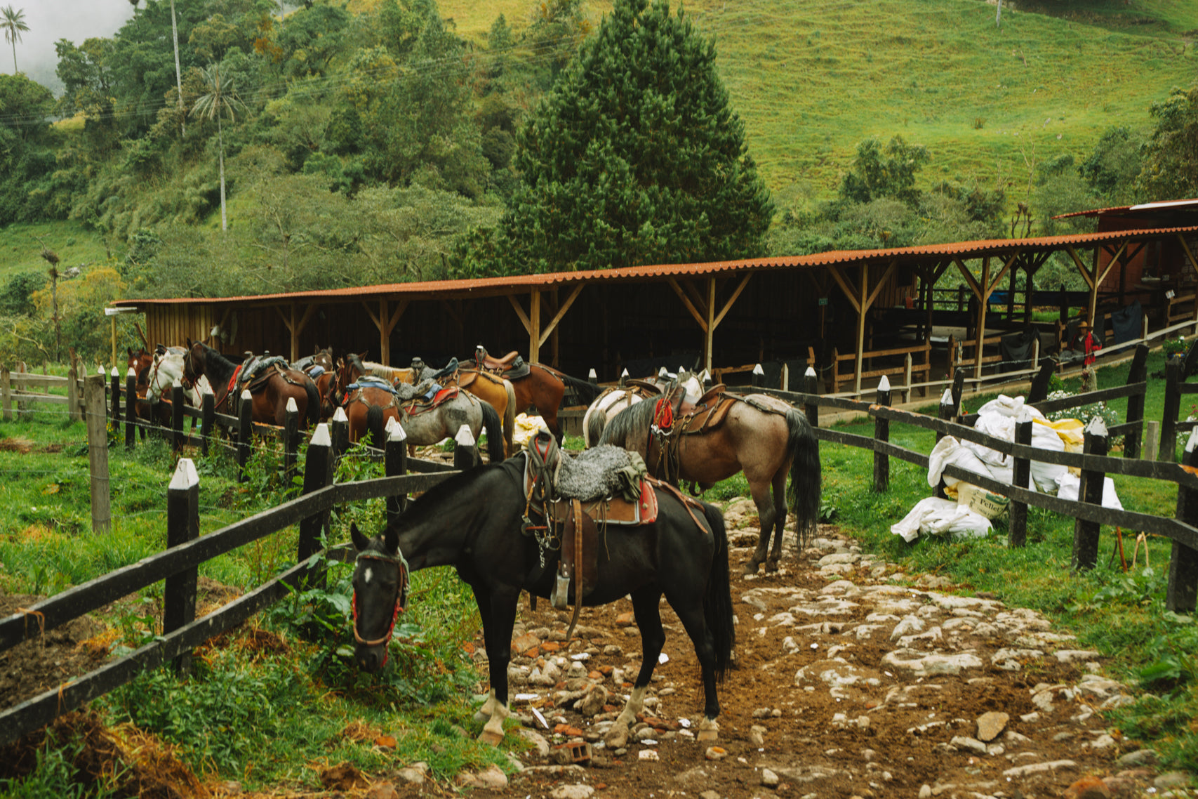 The Riders’ Rest