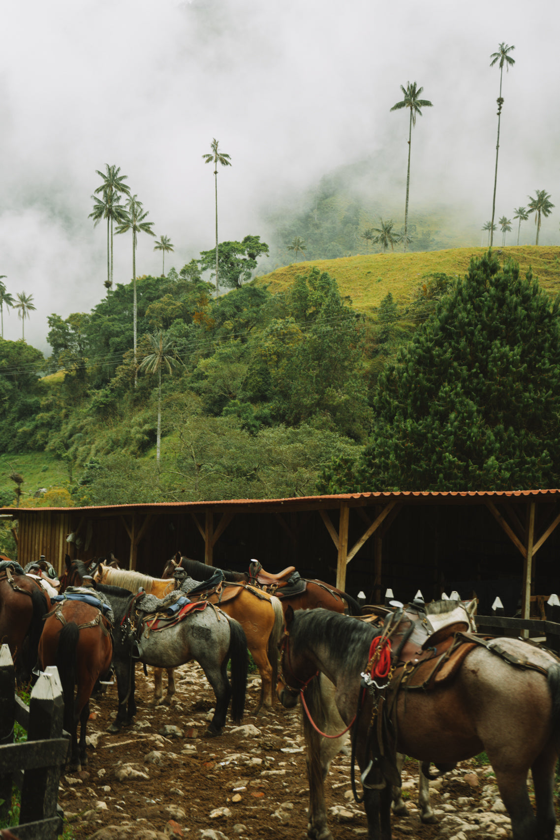 The Riders’ Rest