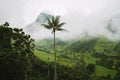 Mists of Cocora