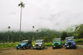 Willys Jeeps of Cocora Valley