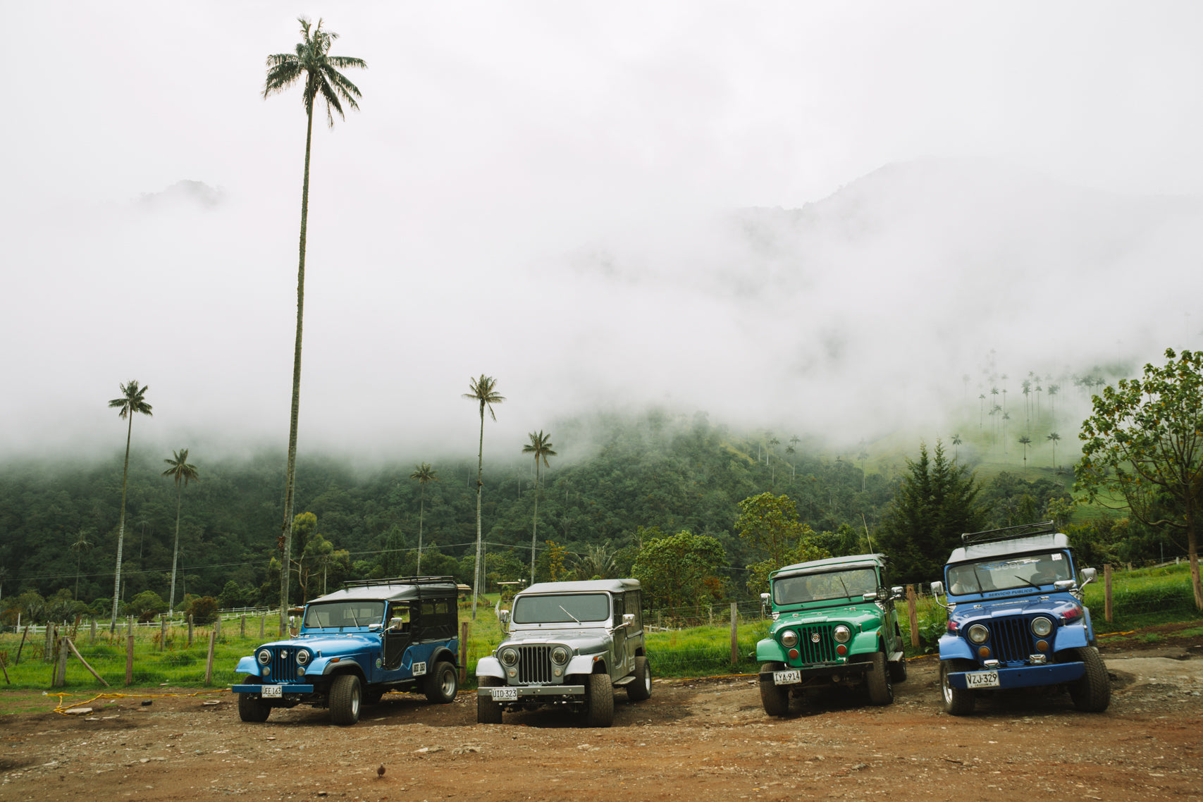 Willys Jeeps of Cocora Valley