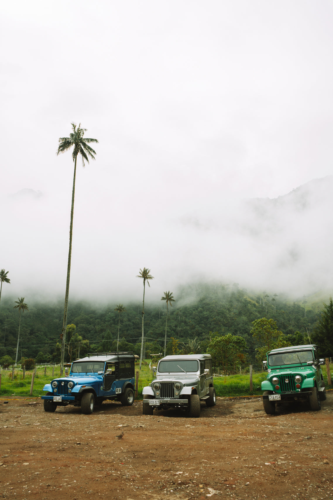 Willys Jeeps of Cocora Valley