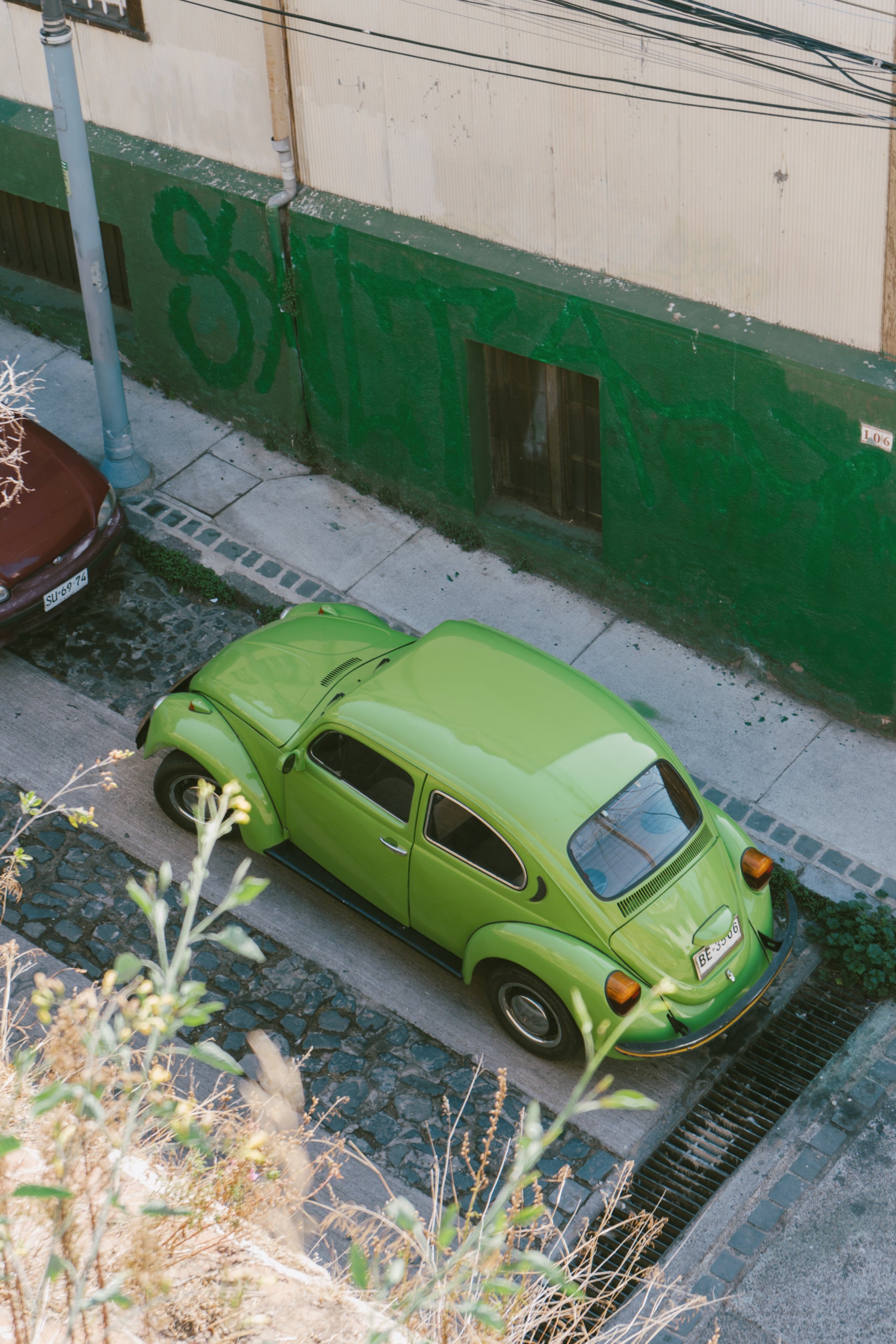 Green Beetle