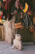 Purmamarca Pup