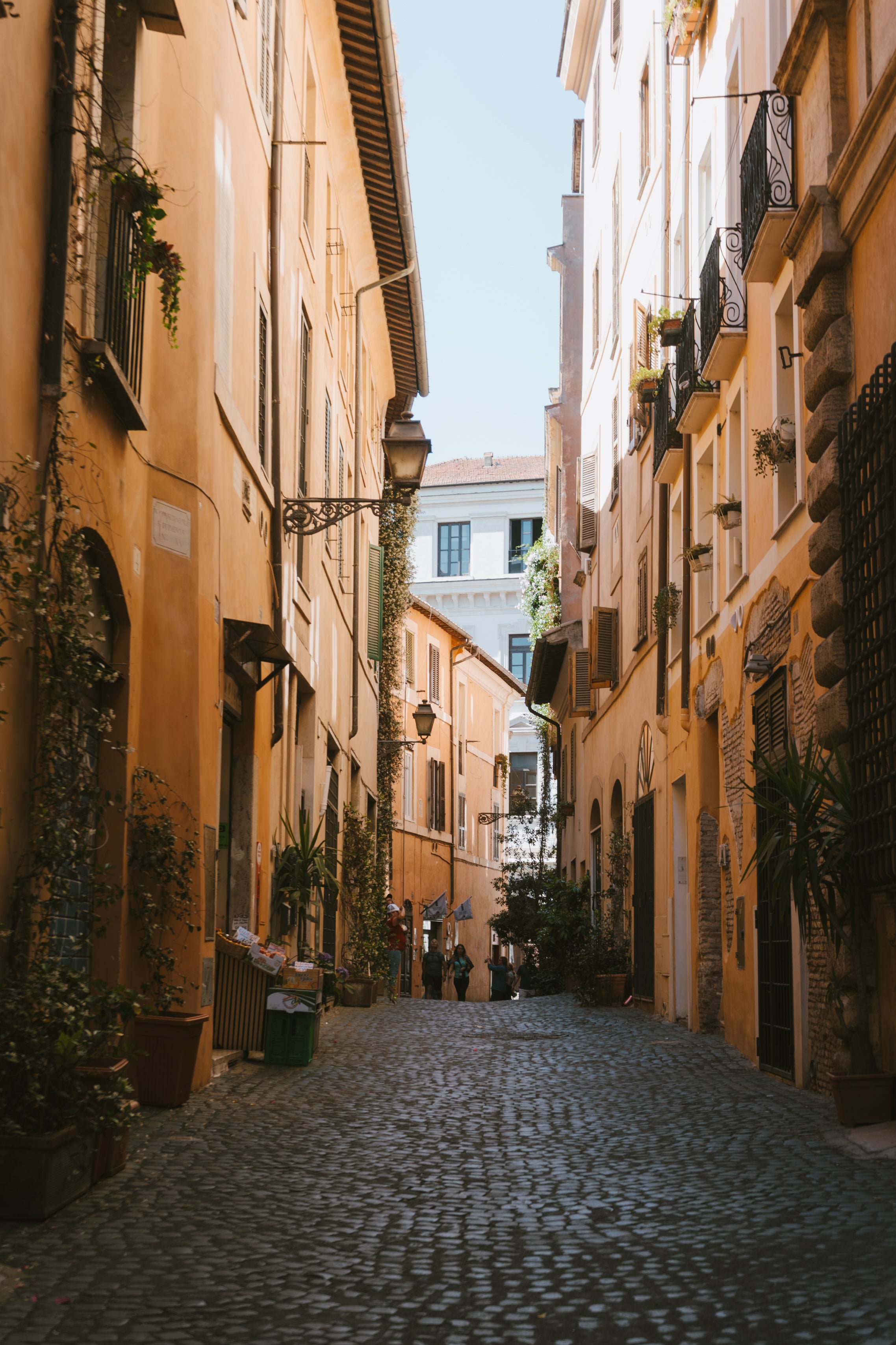 Streets of Trastevere