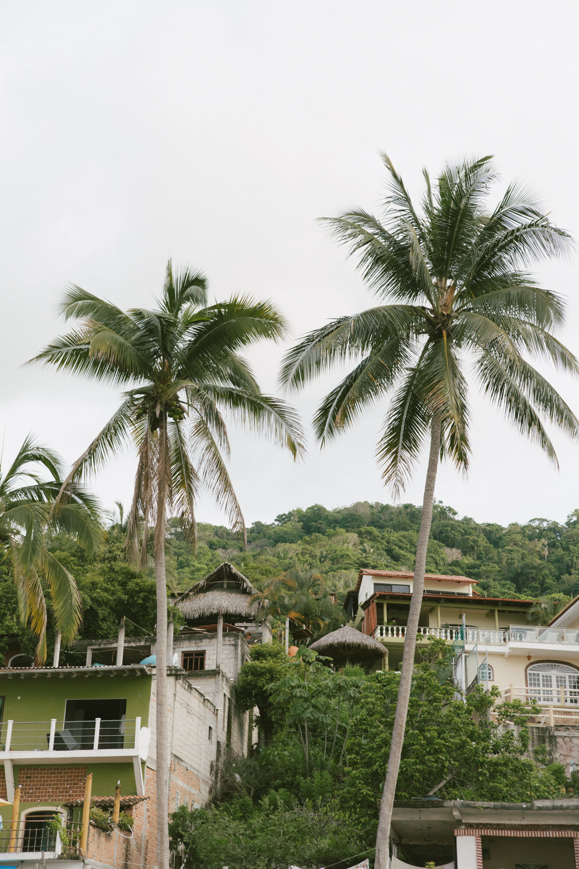 Tropical Living