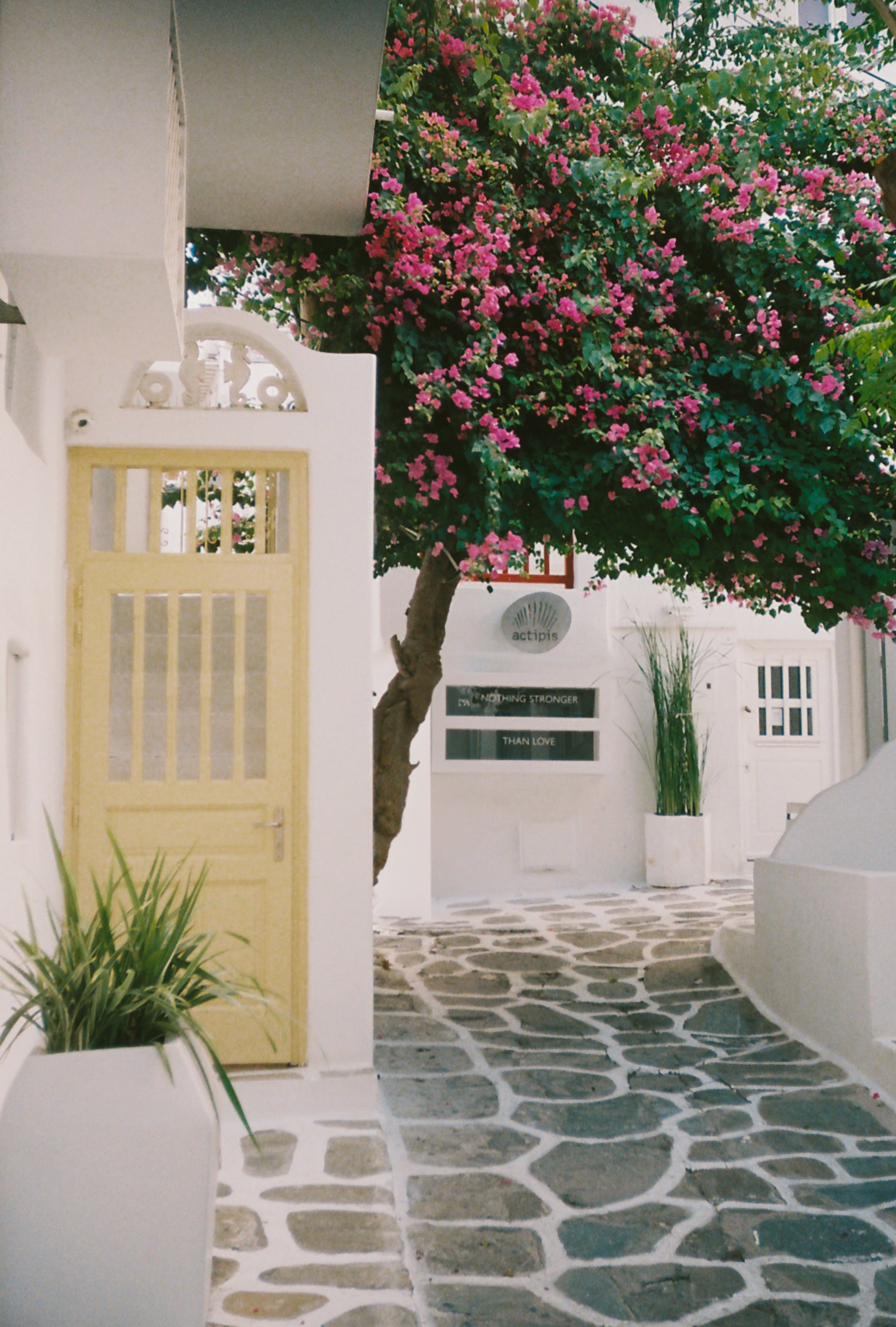 The Yellow Door