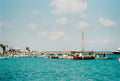 Turquoise Harbor